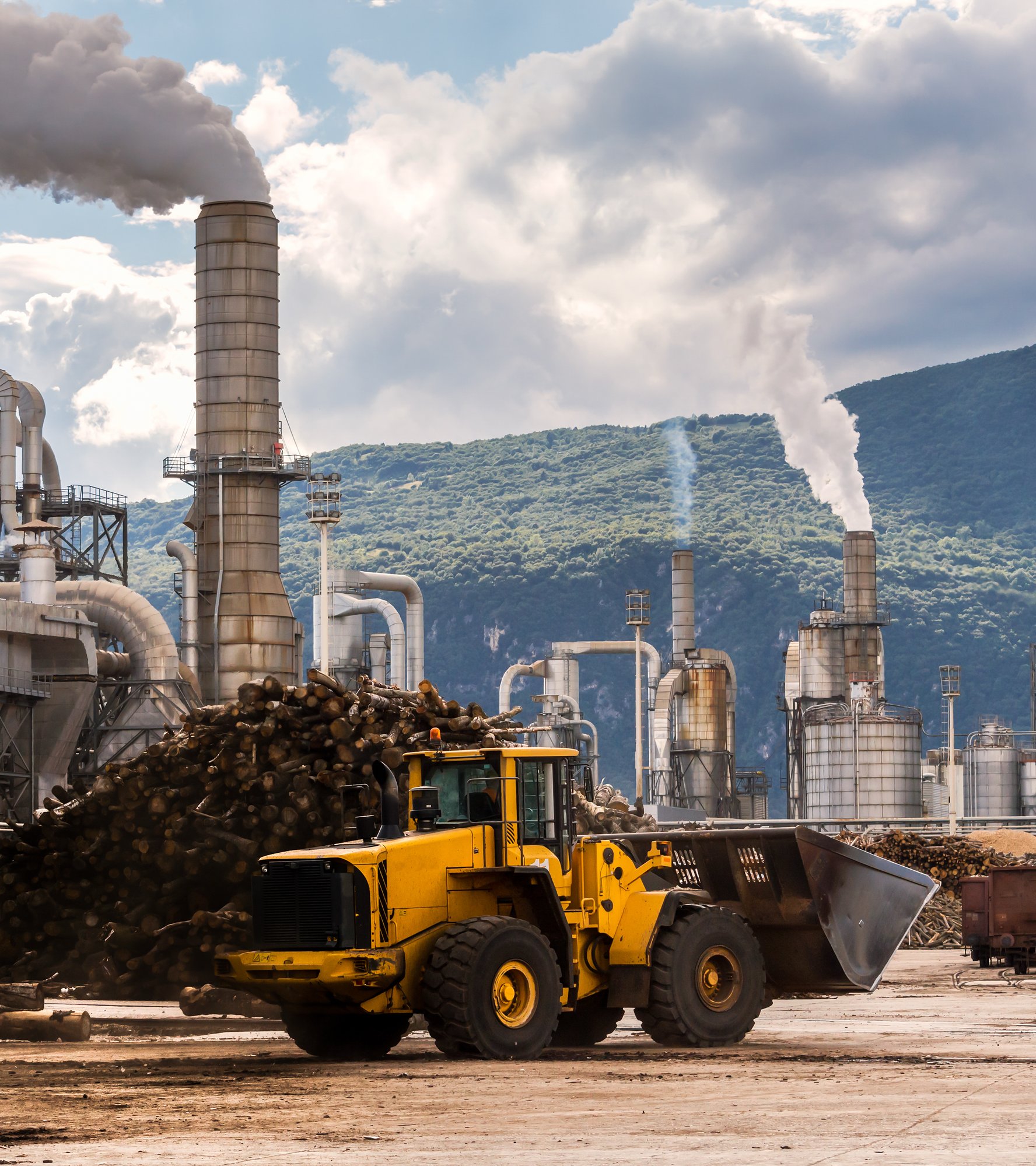 lumber-factory-2026-01-07-00-25-49-utc